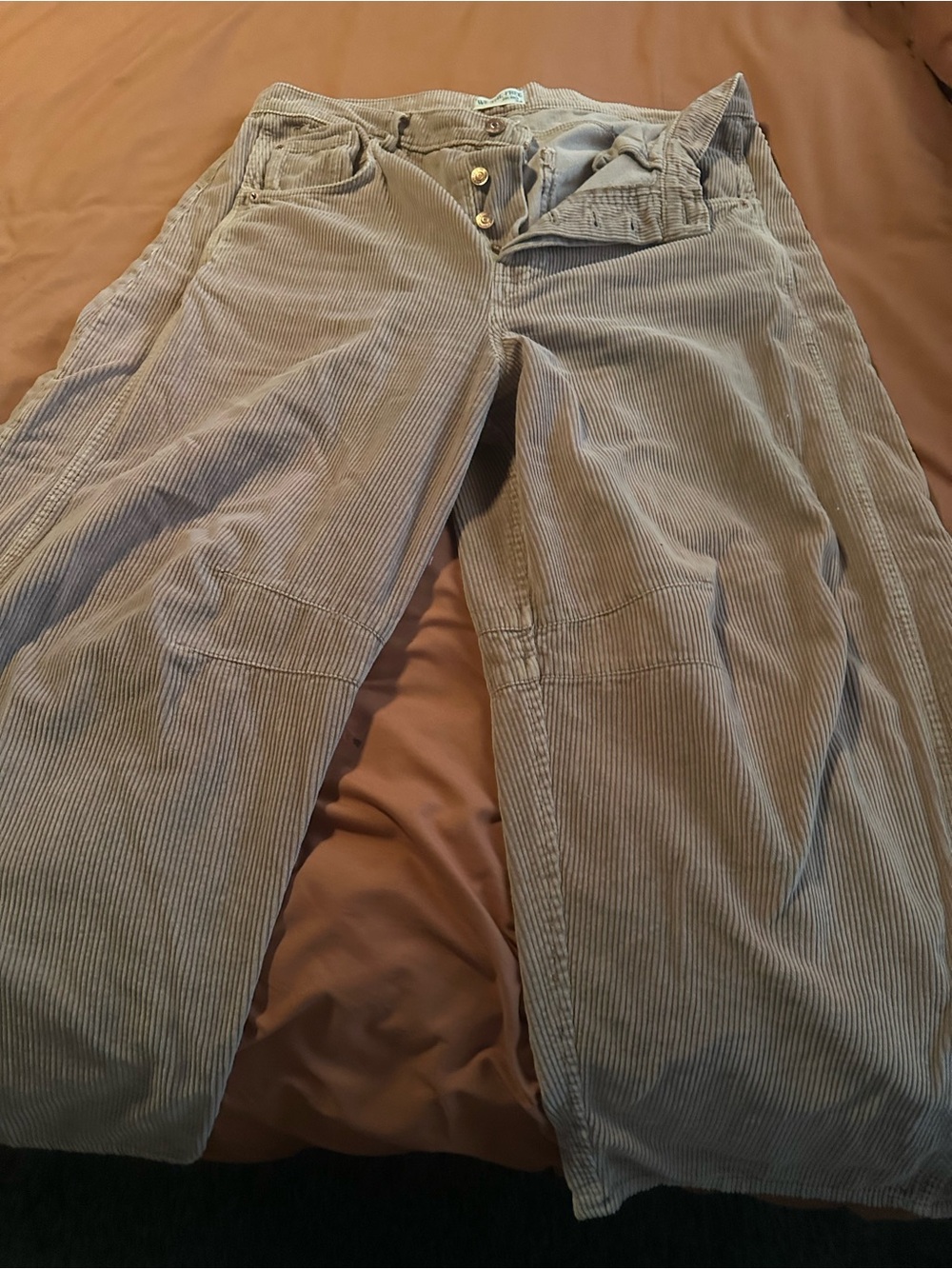 Free People We The Free tan corduroy barrel jeans 33